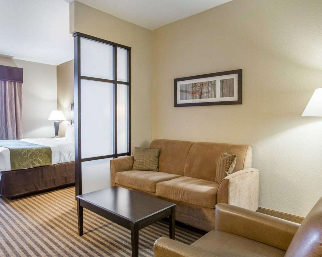 Comfort Suites Mcdonough Atlanta South Номер фото