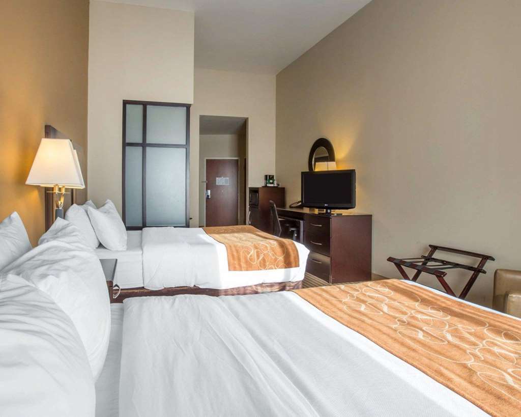 Comfort Suites Mcdonough Atlanta South Номер фото